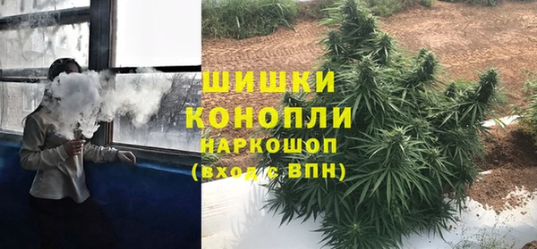 прущий лед Пестово