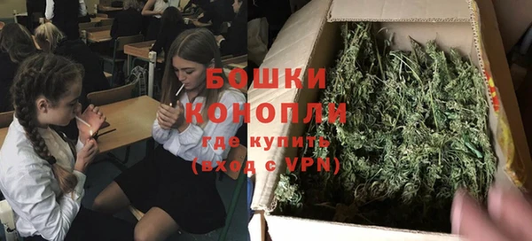 spice Осташков
