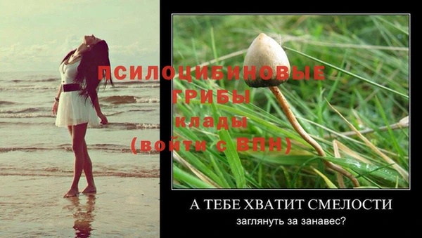 spice Пересвет